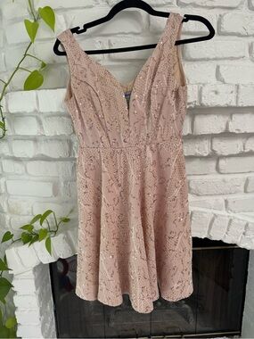 Blush Sequin Lace Mini Dress
